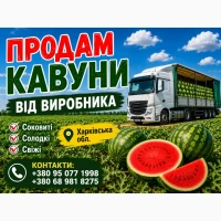 Продам кавун