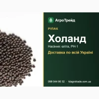 Х0лвнд - ріпвк, нвсіння елітв, РН-1 3 д0кументвми