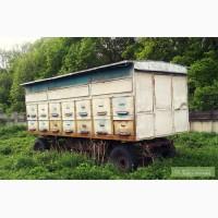 Продам павільйон для бджіл