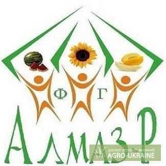 Нужен грузоперевозчик