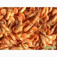 Продам креветку черноморскую