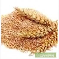 Отруби пшеничные, жом гранулы 8500 с доставкой