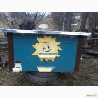 Вулики рамки пакети