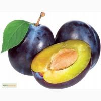 Продам Слива замороженная, б/к(половинка)