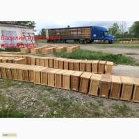 Продам пчелопакеты