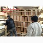Продам пчелопакеты