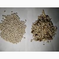 Надаємо послуги очистки та калібровки сільськогосподарської продукції