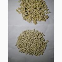 Надаємо послуги очистки та калібровки сільськогосподарської продукції