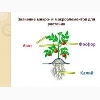 Ціни тануть сульфат калия, монокалиевый фосфат, калий сернокислый, калиевая селитра