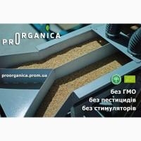 Очистка зерновых до 99.5% на МПО (решета) + КВ2 (калибровка), на вибропневмостоле