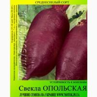 Семена свеклы «Опольская», высокая всхожесть