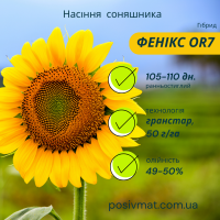 Акція !!! Насіння соняшника толерантний до гранстару + гербіцид у подарунок