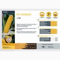 Насіння кукурудзи НОЕМІККС RAGT