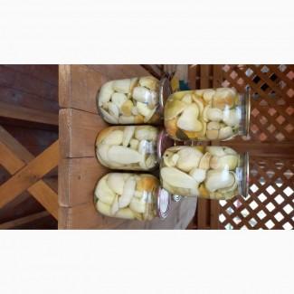 Продам білі гриби