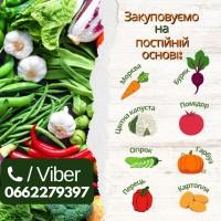 Закуповуємо овочі у великих об#039;ємах (від 20 т)
