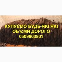 Купуємо шкіри куниці обʼєми будь які ДОРОГО