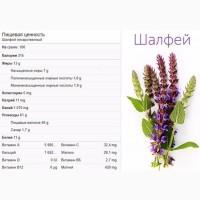 Шалфей лекарственный большой куст 150 грн дешево