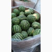 Продам Кавун/не дорого/Київ/2 КАТКА