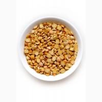 Купуємо горох Ф1. У виробника