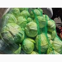 Продам капусту