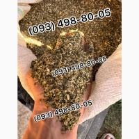 Ксанті Золоте Руно Голд Берлі Вірджинія Махорка Дюбек Гавана Парламент Кентукі