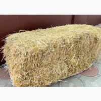 Продам солому пшеничную в тюках = 130гр. г. Днепр
