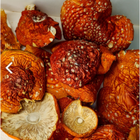 Куплю красный мухомор