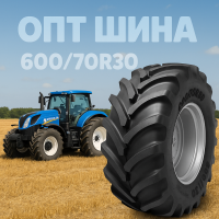 600/70r30 Michelin