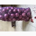 Марс якість ідеальна