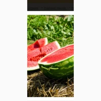 Продам кавун