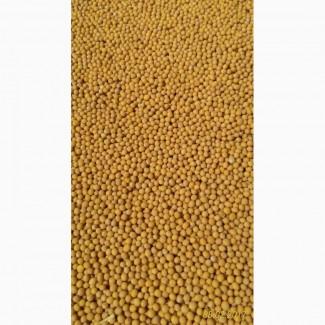 Продам семена горчицы белой, жёлтой на сидераты и семена