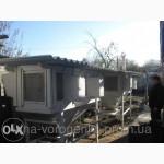 Чистопородные Кролики Советская Шиншилла