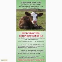 Мультибактерин