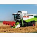 Уборка зерновых Киев, аренда комбайнов на уборку урожая, услуги уборки зерна комбайнами