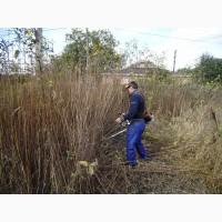 Покос травы Покосить траву Уборка участка