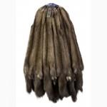 Продам шкуры соболя