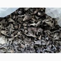 Чорна лисичка (лат. Craterellus cornucopioides)