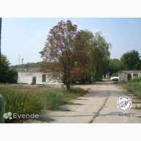 Продается свинокомплекс