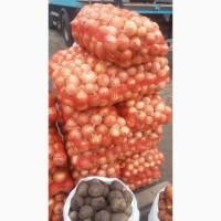 Продам товарну цибулю