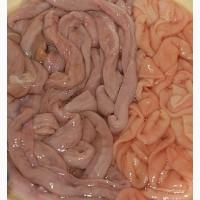 Куплю оптом субпродукти свинні та яловичі ( ноги вуха, рубець і т.д)