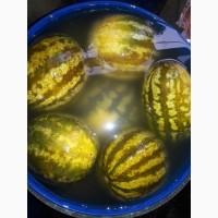 Продам маринованный АРБУЗ
