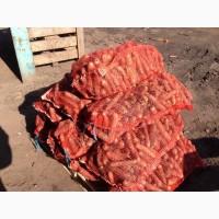 Продам морковь від фермера з 5 тонн