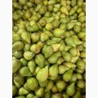 Продам грушу