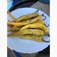 Продам соления в ассортименте