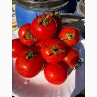 Продам соления в ассортименте