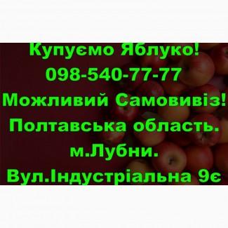 На постійній основі закуповуємо яблуко врожаю 2024року!Дорого