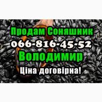 Реалізую соняшникове насіння у будь яких обсягах!!Контроль якості продукції