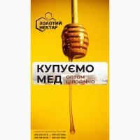 Купуємо Акаційовий Мед 90-100 грн/кг