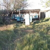 Продам пасёку. 16 ульев. 10 пчелосемей. Со всем необходимым инвентарем