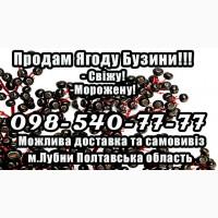 Підприємство заготувач реалізує високоякісну ягоду бузини